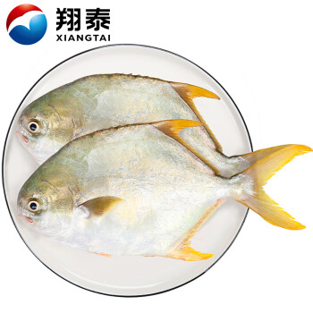 翔泰冷冻海南金鲳鱼500g/2条鲳鱼海鱼生鲜鱼类火锅海鲜水产	