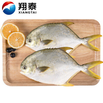 翔泰冷冻海南金鲳鱼700g/2条海鱼鱼类生鲜火锅烧烤食材海鲜水产	